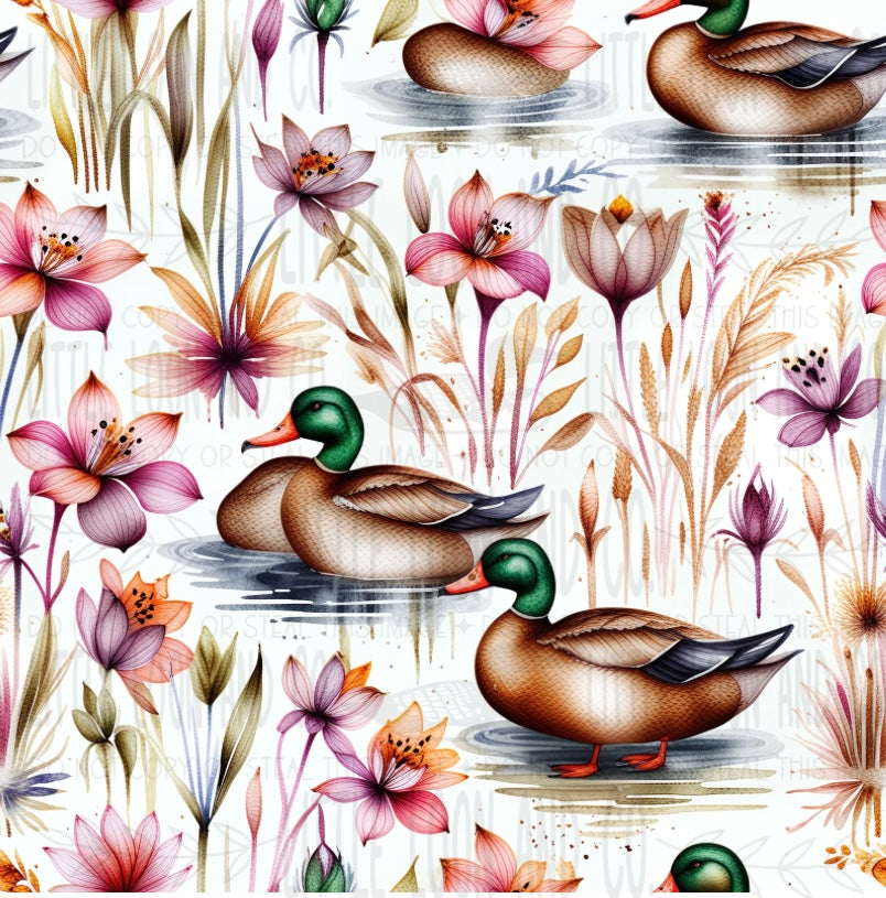 Dainty Ducks