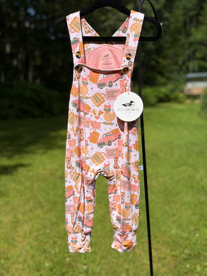 Piggybank Princess Overalls